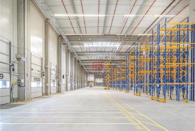 Depozit/hala/spatiu industrial Bolintin Deal - A1 - KM23 - 13