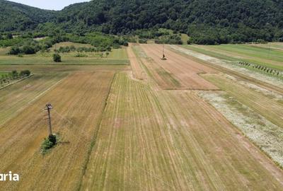 Teren de 5000 mp, în Măgureni - 12