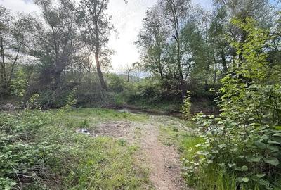 Casă cu 6 camere cu Teren 1000 Mp în Sărdănești - 9