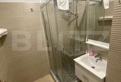 Apartament cu 3 camere semidecomandat în Calea București - 13