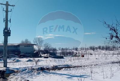 Teren Construcții intravilan de 9000 mp, în Nord-Vest - 6