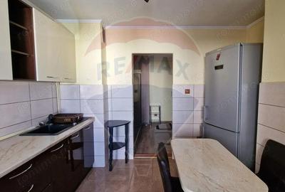 Apartament cu 4 camere de inchiriat - Aleea Dobrogei - 4