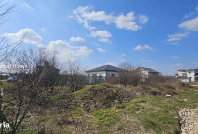 Spațiu comercial, în Domnești - 4