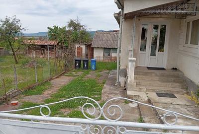 Casă cu 2 camere în Urișor - 7