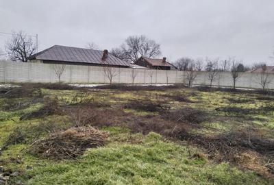 Teren intravilan, 1310 mp, stradal,construc?ie demolabila. - 13