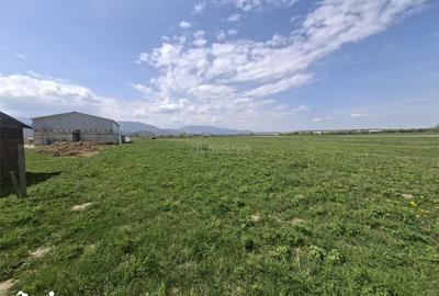 Teren de 500 mp, în Valea Aurie - 5