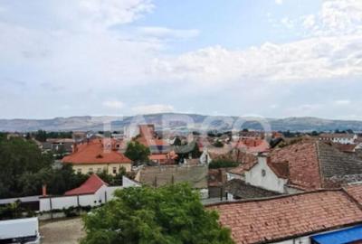 Apartament cu 2 camere de vanzare in Sebes zona centrala - 10