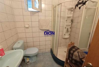 CASA CU POTENTIAL PARCUL CAROL - 9