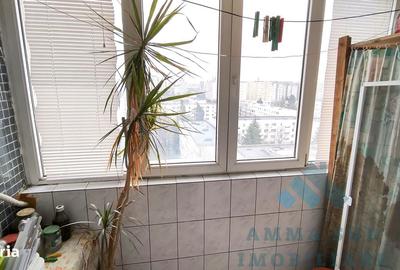 Apartament cu 3 camere semidecomandat, mobilat în Ozana - 15