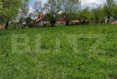 Teren intravilan, 1865 mp, de vanzare in Moieciu - Brasov - 6