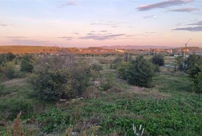 Teren Construcții intravilan de 14100 mp, în Est - 4