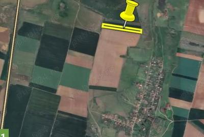 Teren de 19500 mp, în Pișchia