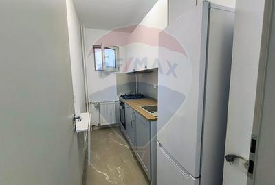 Apartament cu 1 camere decomandat, mobilat în Pantelimon - 4