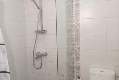 Apartament cu 3 camere semidecomandat în Valea Lupului - 7