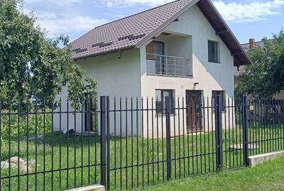 Casă individuală cu 2 camere cu Teren 500 Mp în Mlenăuți - 4