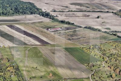 Teren de 860 mp, în Făget