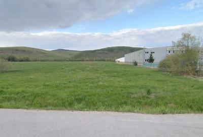 Teren de 4653 mp, în Căpușu Mare - 9