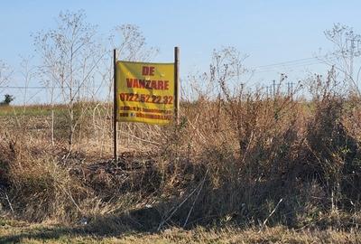 Frumusani, Pasarea, stradal DJ, ideala investitie, intravilan - 14