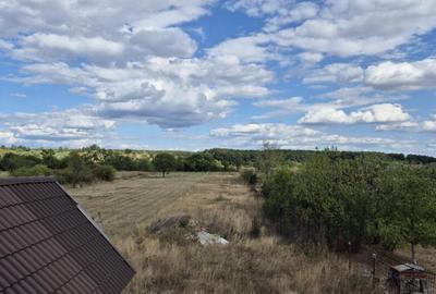 Casa D+P+M ?i teren 4334 mp - Runcu, Sat Rachi?i - 1