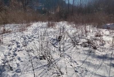 REL4001240 Teren de vanzare in Sinaia - 2