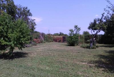 Casă cu 3 camere în Crivina - 10