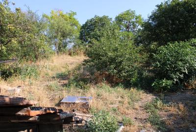 Casă cu 2 camere în Central - 1