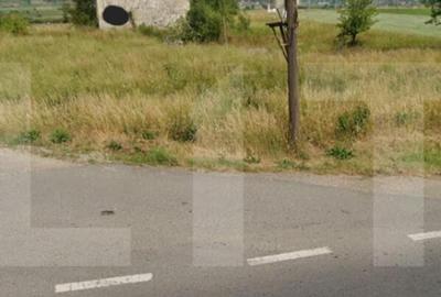 Teren de 5600 mp, în Chilieni - 1