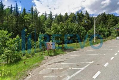 Teren Izvorul Muntelui, Bicaz, la baza traseelor de la Varful Toaca - 3