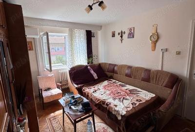 Apartament cu 2 camere nedecomandat în Cetate - 5