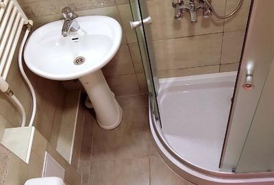 Garsoniera de inchiriat in zona Tei - 10