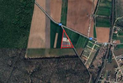 Scrovistea- Balteni-Peris, teren intravilan, 17.714mp langa padure Scrovistea- Balteni-Peris, teren intravilan, 17.714mp langa padure - 1