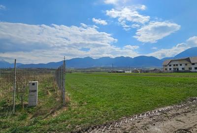Teren Construcții intravilan de 2396 mp, în Zărnești - 1