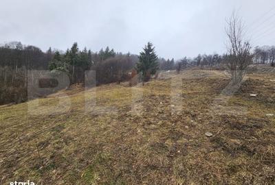 Casă cu 3 camere cu Teren 7297 Mp în Central - 5