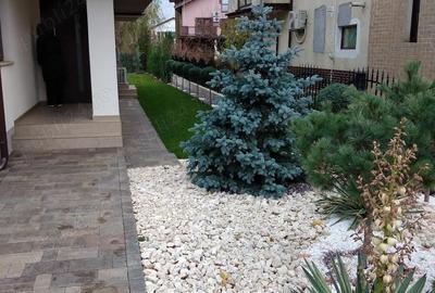 Casă cu 6 camere cu Teren 663 Mp în Crevedia - 6