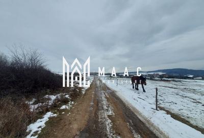 Teren agricol de 8600 mp, în Bungard - 3