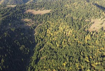 Teren de 162000 mp, în Platonești - 3