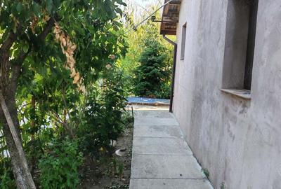 Casă cu 4 camere cu Teren 10000 Mp în Bârca - 9