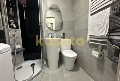 Apartament cu 3 camere decomandat, mobilat în Drumul Taberei - 16