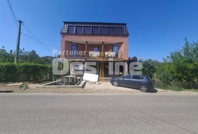 Casă individuală cu 4 camere cu Canalizare în Lunca Cetățuii - 5