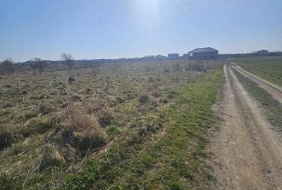 Teren de 660 mp, în Șag - 8