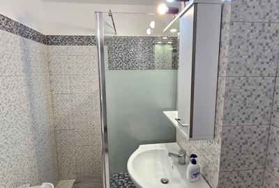 Apartament cu 2 camere decomandat, mobilat în Dristor - 12