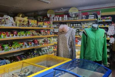 Casă cu Teren 1467 Mp în Plumbuita - 3