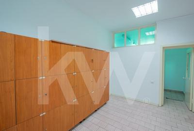 Proprietate industriala cu hale moderne, teren generos si acces Autostrada A1 - 13