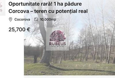 Teren extravilan de 10000 mp, în Cocorova - 6