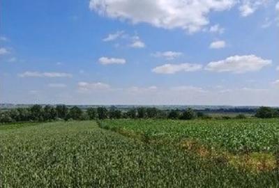 Teren de 1000 mp, în Bosanci - 2