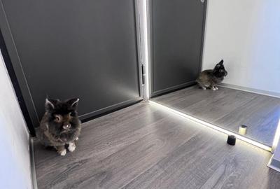 Apartament cu 2 camere semidecomandat, mobilat în Universitate - 42