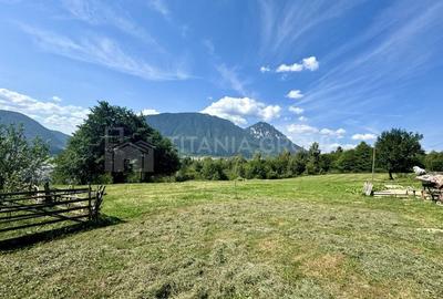 Platou montan, 6631 mp intravilan, electricitate,  langa pădure - 2