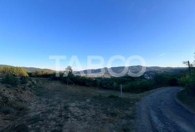 Teren intravilan 2162 mp cu deschidere de 33m Jiblea Veche Calimanesti - 4