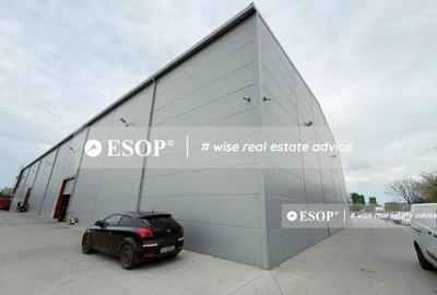 Spațiu comercial, de 2,450 mp, în Mogoșoaia - 9