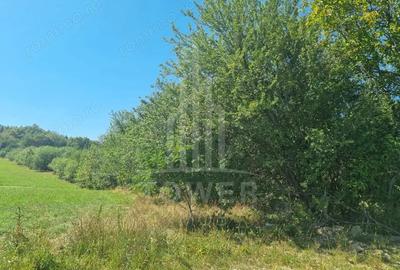 EXCLUSIVITATE! Teren la ?oseaua principala | Tocile - 7